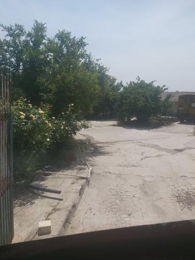 عکس مرغداری رنگین تورینگ خمام