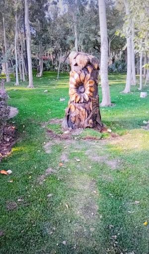 عکس پارک گل ها