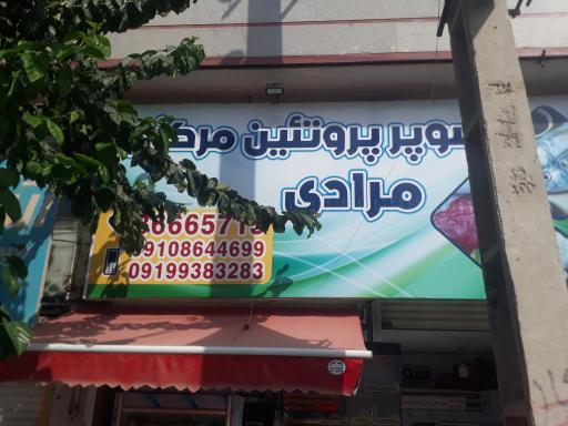 عکس پروتئین مرکزی مرادی