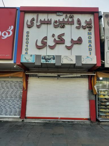 پروتئین سرای مرکزی