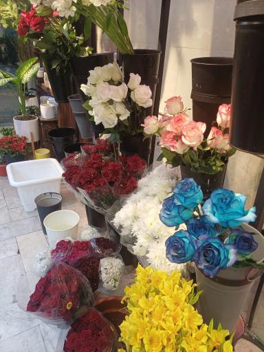 عکس گلفروشی خانه گل