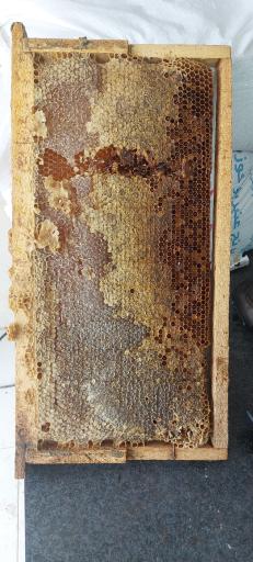 عکس عسل کندو