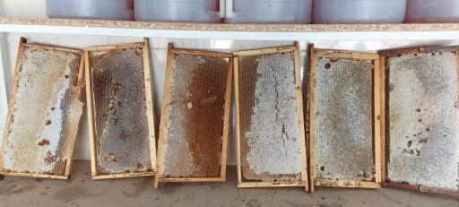 عکس عسل کندو