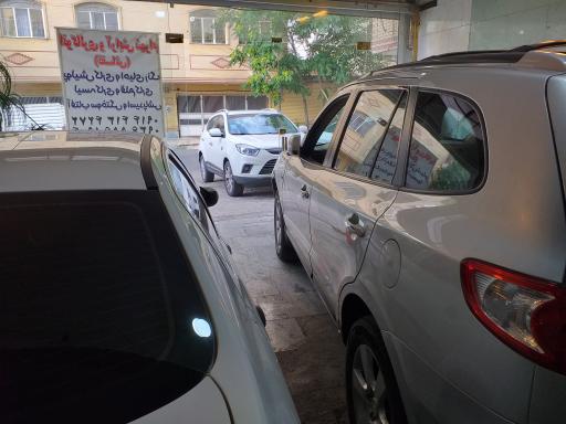 عکس لیسه کاری شهرام نقاش