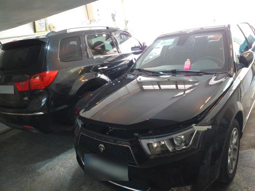 عکس لیسه کاری شهرام نقاش