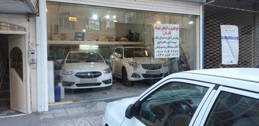 عکس لیسه کاری شهرام نقاش