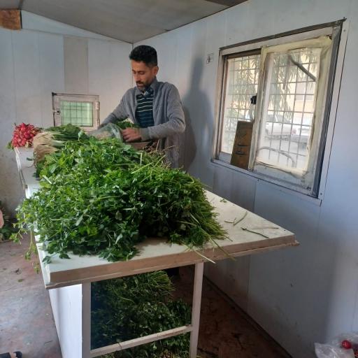 عکس سبزی فروشی سادات