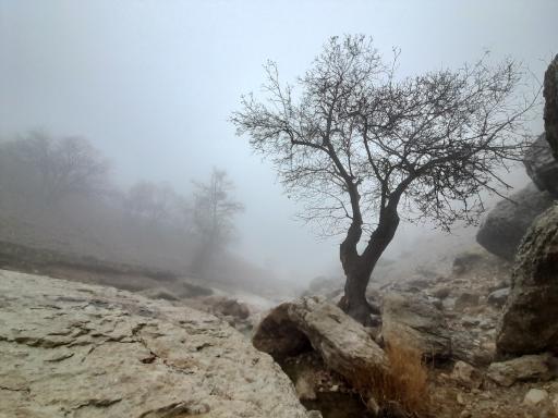 عکس آبشار گریت