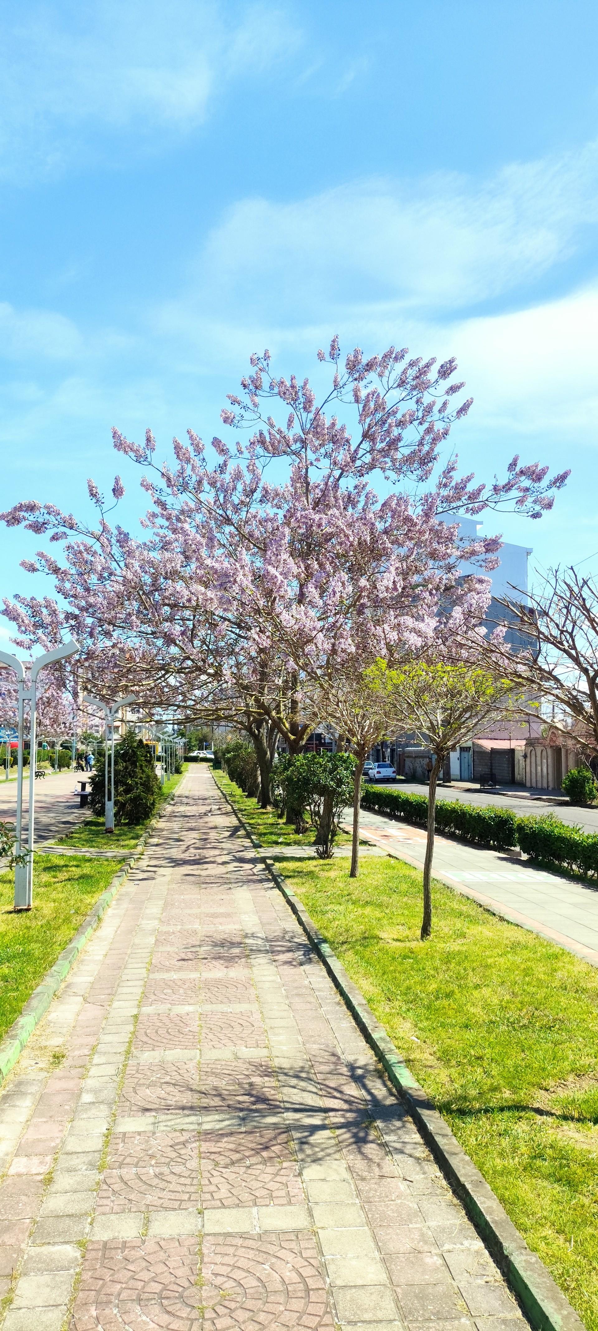 عکس پارک شهید سیامک اختر کاویان