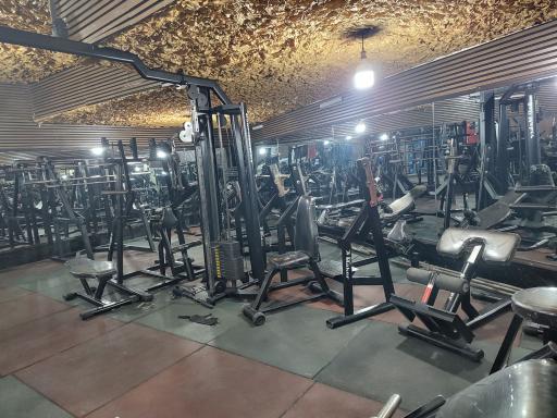 عکس باشگاه بدنسازی و تناسب اندام بانوان پالادیوم