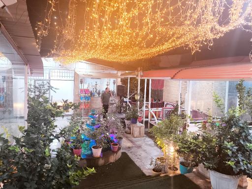 عکس رستوران رحمانی