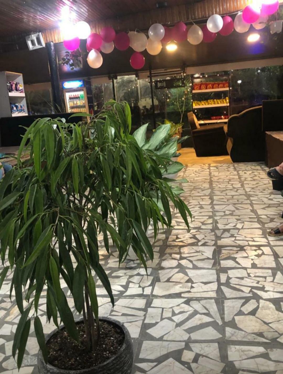 عکس کافه‌ یک