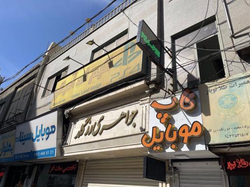 عکس گیم‌ نت‌ آمیگو‌ درختی