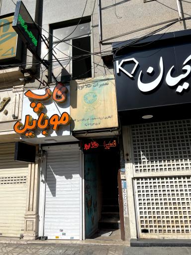 عکس گیم‌ نت‌ آمیگو‌ درختی