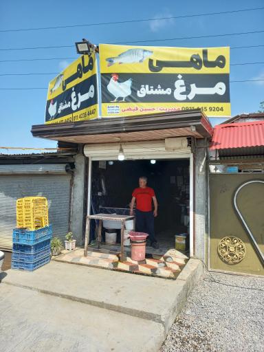 عکس مرغ و ماهی مشتاق