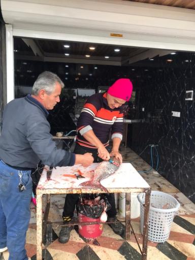 عکس مرغ و ماهی مشتاق