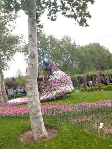 عکس پارک لاله