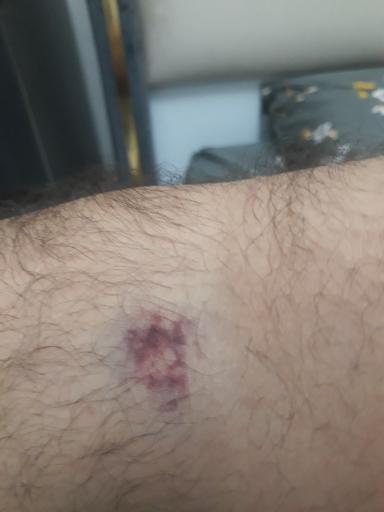 عکس سازمان انتقال خون بابلسر