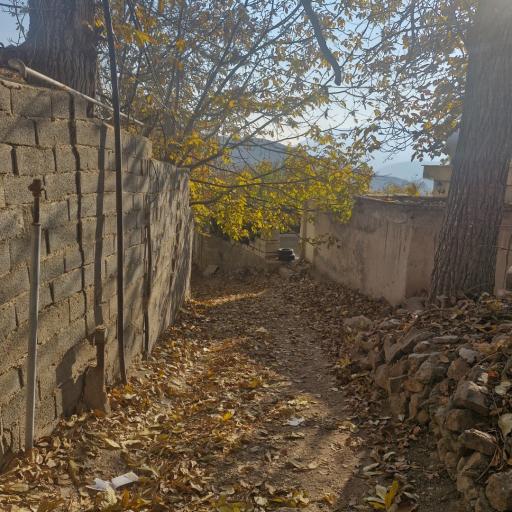 عکس باغ رستوران خانوادگی کوچه باغ