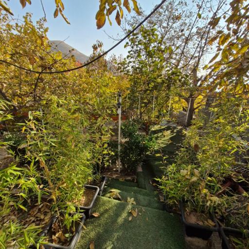 عکس باغ رستوران خانوادگی کوچه باغ