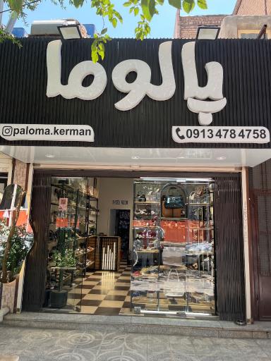 عکس  کفش پالوما
