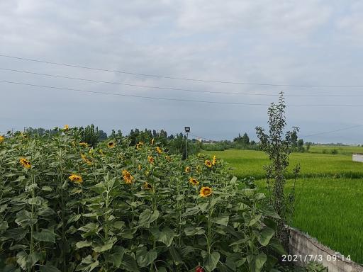 عکس مزرعه پرورش ماهی قزل هیرکان