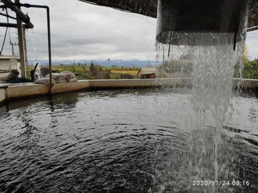 عکس مزرعه پرورش ماهی قزل هیرکان