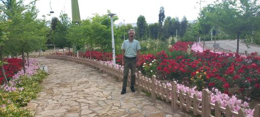 عکس سورتمه بوستان علوی