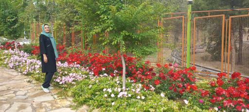 عکس سورتمه بوستان علوی