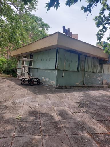 عکس نان فانتزی