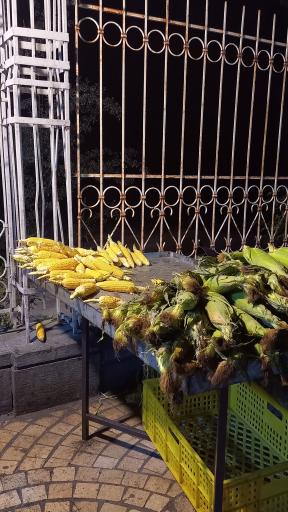 عکس بلال ارم شیراز