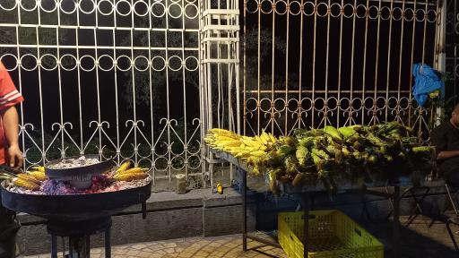 عکس بلال ارم شیراز