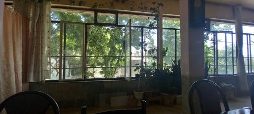 عکس دیزی سرای خراسان 