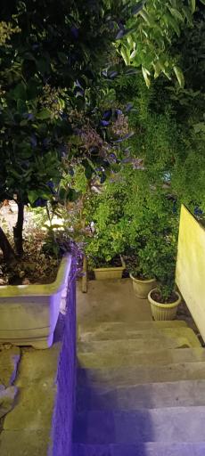 عکس باغ رستوران مهر و ماه