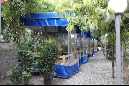 عکس باغ رستوران مهر و ماه