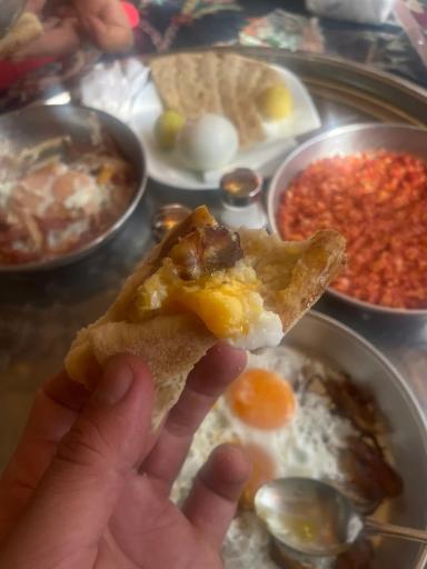 عکس باغ رستوران مهر و ماه