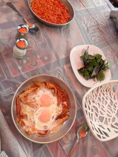 عکس باغ رستوران مهر و ماه