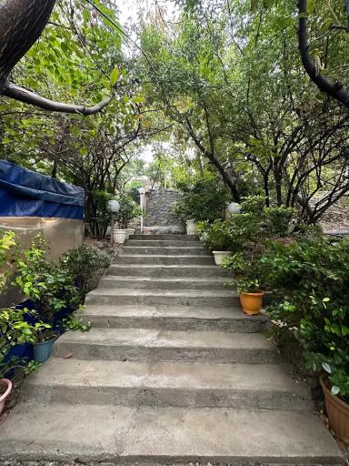 عکس باغ رستوران مهر و ماه