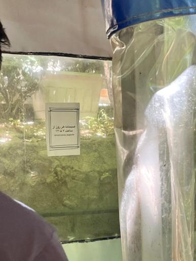 عکس باغ رستوران مهر و ماه