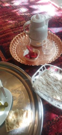 عکس باغ رستوران مهر و ماه