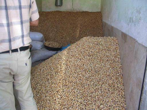 عکس انجیر بازار