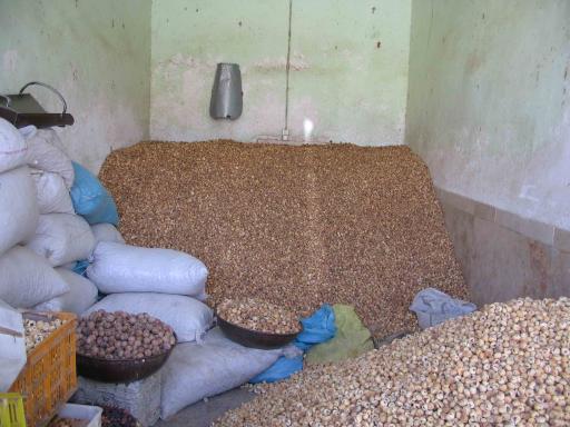 عکس انجیر بازار