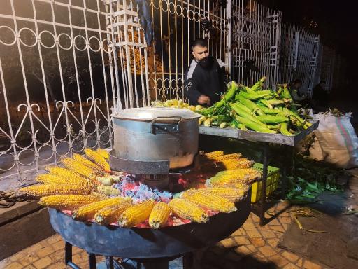 عکس بلال ارم شیراز