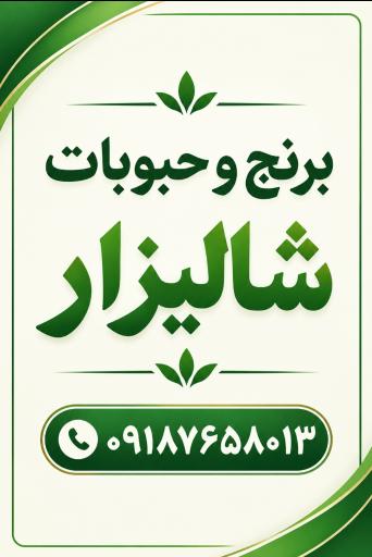عکس برنج و حبوبات شالیزار شیخ حسینی