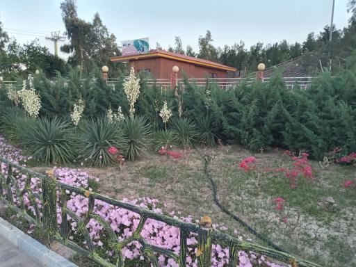 عکس سورتمه بوستان علوی