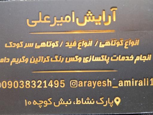 پیرایش امیرعلی