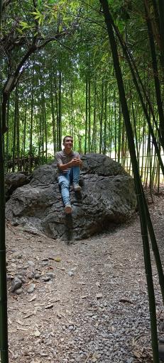 عکس باغ بامبو چشمه