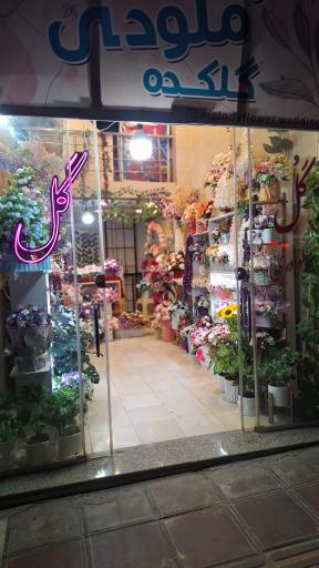 عکس گلفروشی ملودی 
