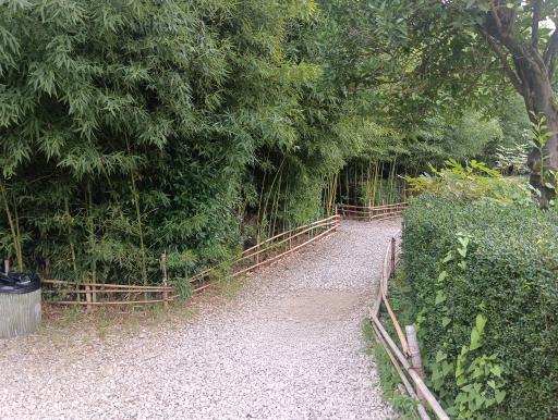 عکس باغ بامبو چشمه