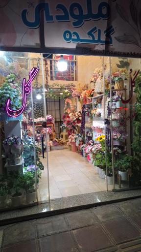 عکس گلفروشی ملودی 